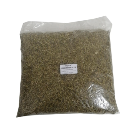 Tropical Oregano in 500g Bag
