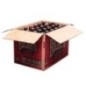 Bucanero Beer Bottle 5.4% Box 24x350ml Bucanero Beer Bottle 5.4% Box 24x350ml