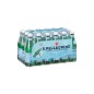 Agua Mineral Natural con Gas 0.5 L PET Agua Mineral Natural con Gas 0.5 L PET